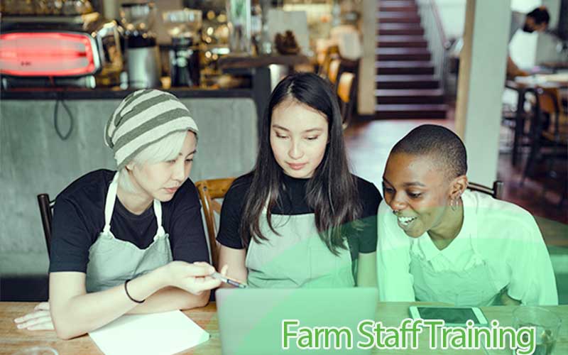 5 training for pig farm workers that improves farm efficiency