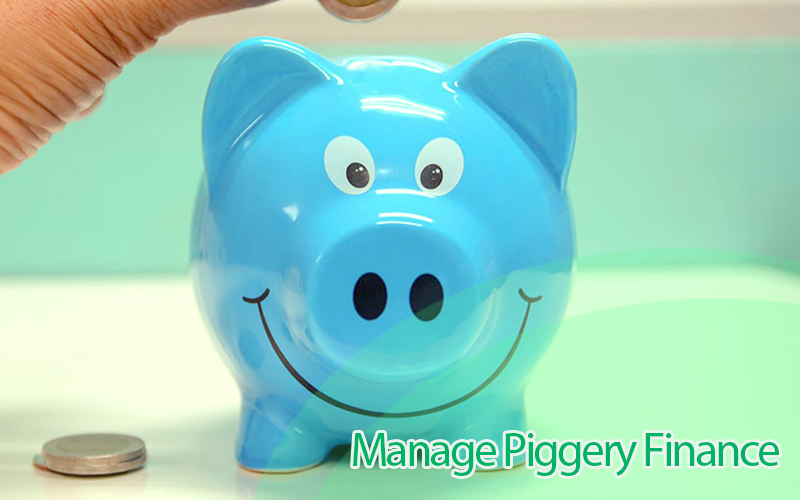 Smart Financial Management for a Profitable Piggery Business
