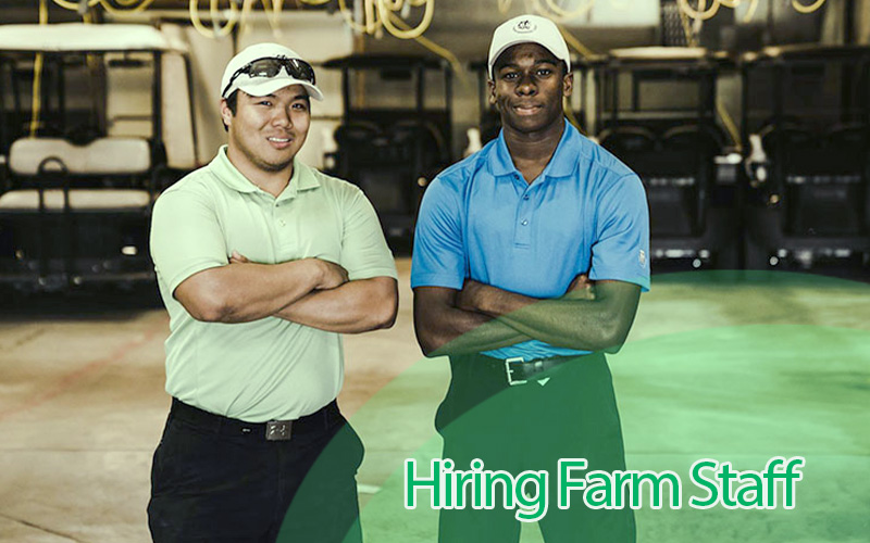 The Complete Guide to Hiring and Training Effective Pig Farm Managers
